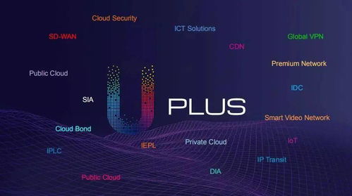 中国联通国际公司荣获2020年度中国IDC产业海外优秀数据中心服务商奖